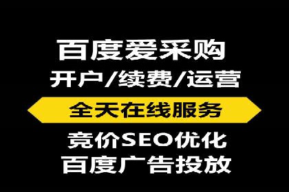 百度推广优化策略：成功案例解析